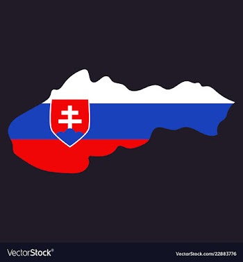 Flag map of slovakia vector image