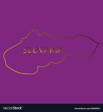 Flag map of slovakia vector image