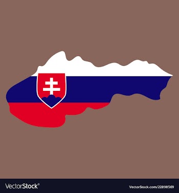 Flag map of slovakia vector image