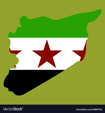 Flag map of syria vector image