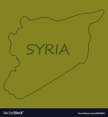 Flag map of syria vector image