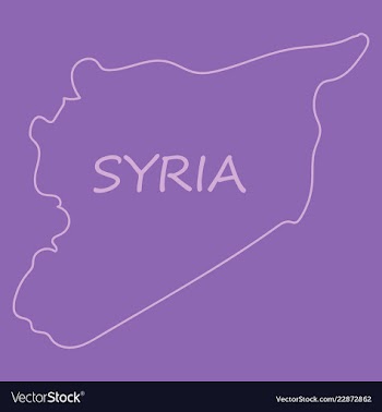 Flag map of syria vector image