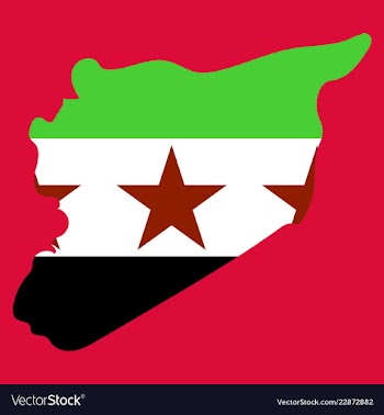Flag map of syria vector image