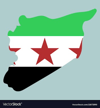 Flag map of syria vector image