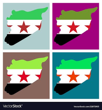 Flag map of syria vector image