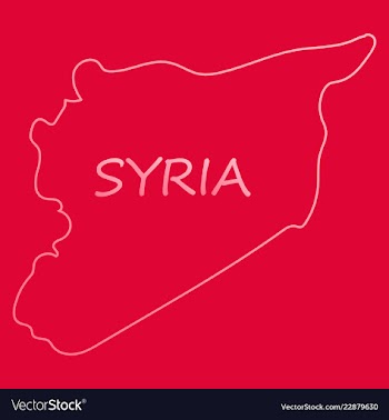 Flag map of syria vector image