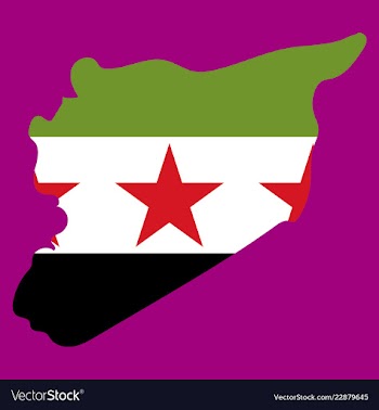 Flag map of syria vector image