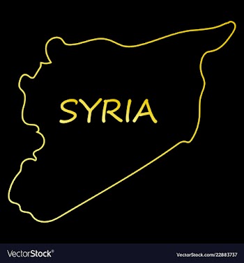 Flag map of syria vector image