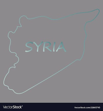 Flag map of syria vector image