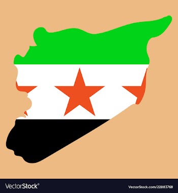 Flag map of syria vector image