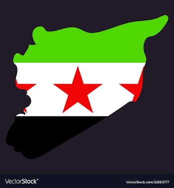 Flag map of syria vector image