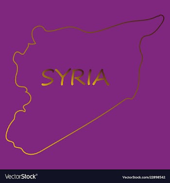 Flag map of syria vector image