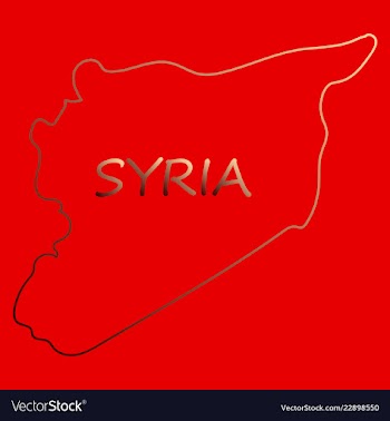 Flag map of syria vector image