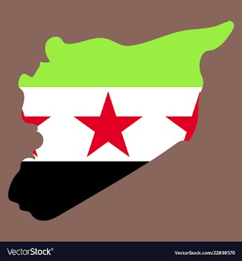 Flag map of syria vector image