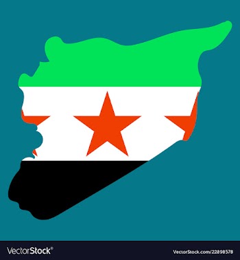 Flag map of syria vector image
