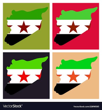 Flag map of syria vector image
