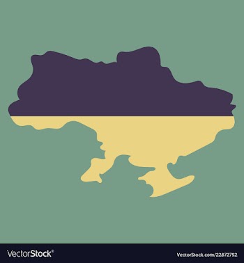 Flag map of ukraine vector image