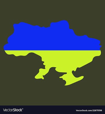 Flag map of ukraine vector image