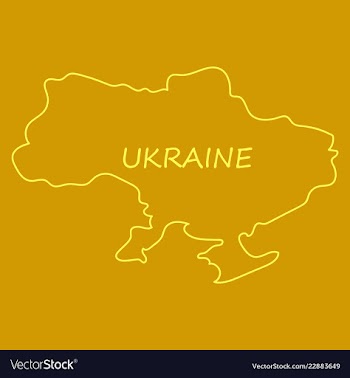 Flag map of ukraine vector image