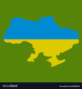 Flag map of ukraine vector image