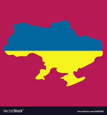 Flag map of ukraine vector image