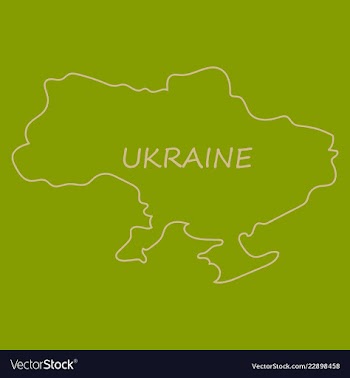 Flag map of ukraine vector image