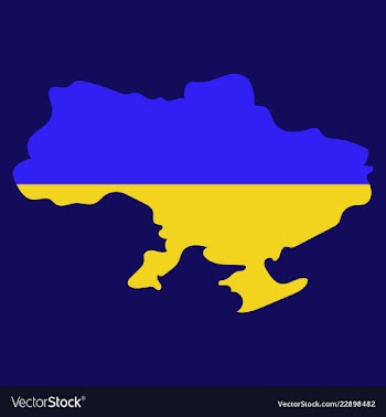 Flag map of ukraine vector image