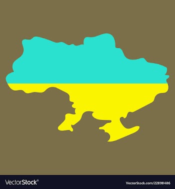 Flag map of ukraine vector image