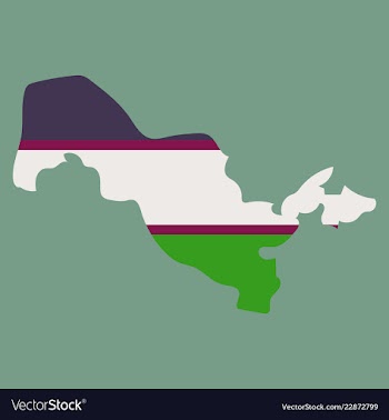 Flag map of uzbekistan vector image