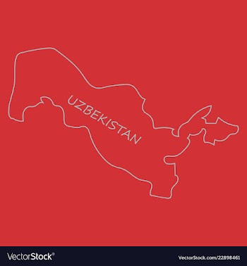 Flag map of uzbekistan vector image