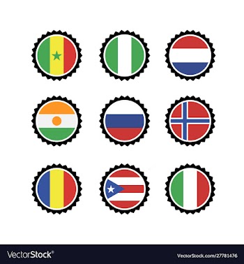 Flag nation logo template vector image