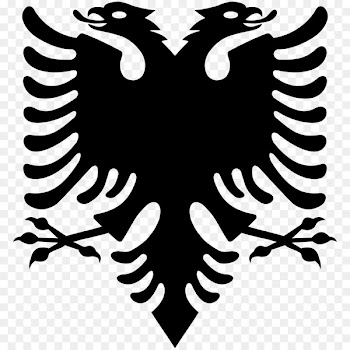 Flag of Albania National flag Principality of Albania - eagle flag 