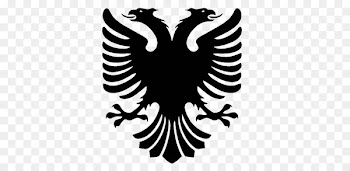 Flag of Albania T-shirt Double-headed eagle Albanian language - Double Headed Eagle 