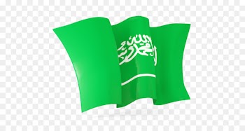 Flag of Bangladesh Flag of Cameroon Flag of the Maldives National flag - Flag 