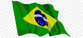 Flag of Brazil Clip art - Brazil flag PNG 