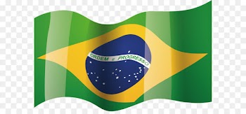 Flag of Brazil Euclidean vector - The elegant national flag of Brazil 