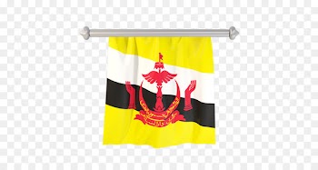 Flag of Brunei South China Sea Flags of Asia - Flag 