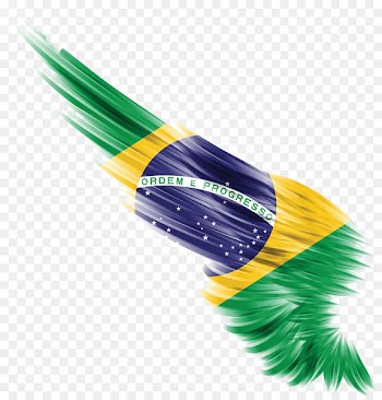 Flag of Bulgaria Wing Flag of Pakistan English - Flag of Brazil 