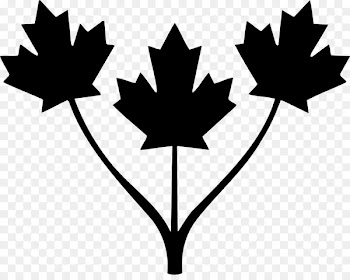 Flag of Canada Illustration Stock photography -  