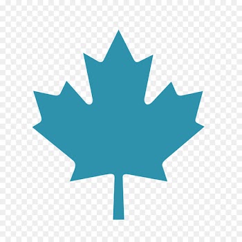 Flag of Canada Maple leaf - leaves vector 