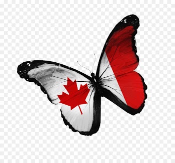 Flag of Canada Stock photography National flag - Creative Butterfly 