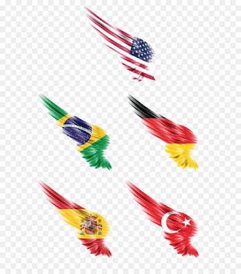 Flag of China National flag Wing Flag of the United States - Flag Wings 