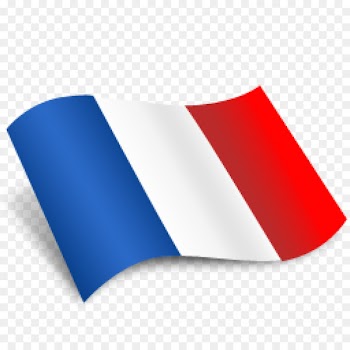 Flag of France Computer Icons - france 