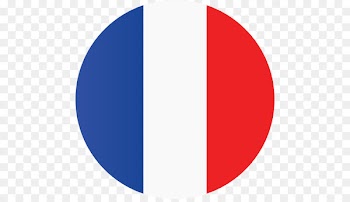 Flag of France Flag of France French SEAT Arona FR - france 