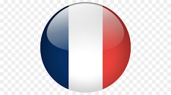 Flag of France - france 