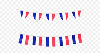 Flag of France - France Flag PNG Image 