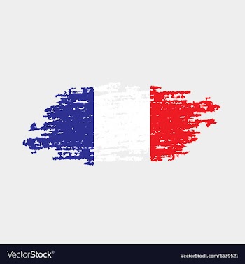 Flag of France vector image