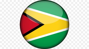 Flag of Guyana Image Computer Icons - flag 