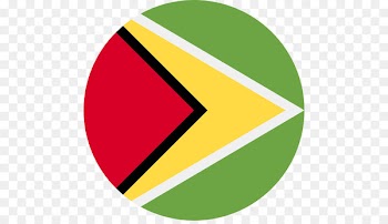 Flag of Guyana National flag Flag of Argentina - flag 