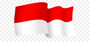 Flag of Indonesia Portable Network Graphics Flag of Papua New Guinea Flag of Malaysia - cupping therapy 